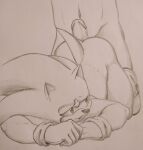  anthro butt duo genitals hot_dogging looking_back male male/male nude penis sega sonic_the_hedgehog sonic_the_hedgehog_(series) tailverknk 