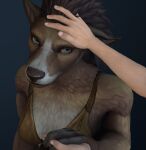  anthro blizzard_entertainment blue_eyes canid duo female hand_holding human looking_at_viewer male male/female mammal mklr offscreen_character petting_head video_games warcraft were werecanid worgen 