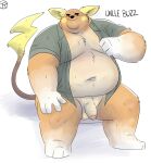  2022 anthro belly clothed clothing genitals hi_res humanoid_genitalia humanoid_hands humanoid_penis male moobs navel nintendo open_clothing open_shirt open_topwear orange_body overweight overweight_male penis pok&eacute;mon pok&eacute;mon_(species) raichu shirt sitting solo topwear trashtoonz video_games 