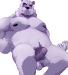  2022 anthro balls borealis_(live-a-hero) erection genitals hi_res humanoid_genitalia humanoid_hands humanoid_penis lemonseato lifewonders live-a-hero male mammal overweight overweight_male penis polar_bear simple_background sitting solo ursid ursine video_games white_background 