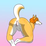  all_fours anthro anus belly big_butt butt butt_focus canid canine canis domestic_dog female genitals hi_res loudlasagna mammal pussy shiba_inu solo spitz 