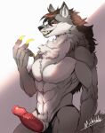  anthro canid canine canis erection genitals grin hybrid_genitalia hybrid_penis male mammal michizuki muscular muscular_anthro muscular_male penis smile solo thong_only wolf 