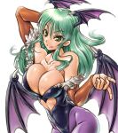  1girl amania_orz bare_shoulders bat_wings breasts bridal_gauntlets cleavage closed_mouth demon_girl gloves green_eyes green_hair head_wings large_breasts leotard long_hair looking_at_viewer morrigan_aensland pantyhose simple_background smile solo vampire_(game) white_background wings 