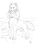  animal_genitalia arctic_fox_taur breasts canid canid_taur canine canine_taur chakona_space claws dark_natasha featureless_breasts fox fox_taur fully_sheathed fur genitals gynomorph herm_(lore) intersex looking_at_viewer mammal mammal_taur outside sheath solo taur 