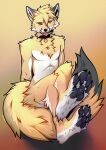  2022 4_toes angiewolf anthro canid canine chest_tuft collar feet fox fur gradient_background male mammal plantigrade simple_background sitting solo toes tuft underpaw 