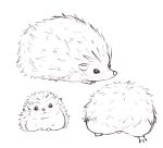  :3 animal animal_focus ass closed_mouth commentary drawing hedgehog ito_(itokayu) looking_at_viewer no_humans original simple_background spiked_hair white_background 