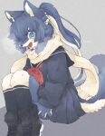  2022 4_fingers anthro black_nose blue_body blue_fur blue_hair blush boots bottomwear canid canine canis claws clothed clothing cute_fangs fangs female finger_claws fingers fluffy fluffy_tail footwear fur hair happy hi_res japanese_school_uniform kemonngo kemono long_hair looking_at_viewer mammal multicolored_body multicolored_fur multicolored_hair open_mouth open_smile ponytail ribbons scarf school_uniform shoes skirt smile socks solo teeth tongue two_tone_body two_tone_fur two_tone_hair two_tone_tail uniform white_body white_fur white_hair wolf 