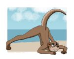  2021 akima_(eddiew) anthro ass_up beach black_nose blue_eyes border brown_body brown_fur butt claws closed_mouth cloudscape curved_tail digital_media_(artwork) eddiew eyebrows eyelashes eyewear fangs female fingers fur glasses jack-o&#039;_pose looking_away lutrine mammal mustelid nude on_ground out_of_frame pose round_glasses seaside sharp_teeth signature simple_background sky smile solo spread_legs spreading tan_body tan_fur teeth text thick_tail tiptoes whiskers white_border 