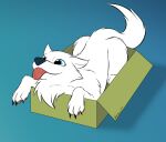  anthro blue_eyes box canid canine canis claws container feral fur giru_(artist) happy in_box in_container lying male mammal on_front pawpads quadruped solo tongue tongue_out white_body white_fur wolf wolfemann 