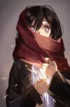  1boy 1girl bangs black_eyes black_hair black_jacket crying crying_with_eyes_open eren_yeager eye_reflection grey_background hair_between_eyes highres jacket long_hair long_sleeves looking_at_viewer mikasa_ackerman neri_aot red_scarf reflection scarf shingeki_no_kyojin shirt solo_focus tears twitter_username upper_body white_shirt 