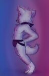  ambiguous_species anthro canid canine canis clothing collar domestic_dog footwear hi_res jockstrap male mammal popping_back sketch socks solo stretching tagme underwear vacantyoshi 