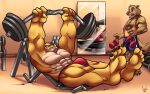  4_toes abs anthro barefoot biceps big_feet bottomwear bulge canid canine canis clothed clothing destruction digital_media_(artwork) dumbbell duo exercise feet fur growth gym hair lagomorph leporid male mammal muscle_growth muscular muscular_anthro muscular_male paws pecs rabbit rasmussen891 size_difference smile syrup_(druss666uk) toes underwear weightlifting weights wolf workout yellow_body yellow_fur 