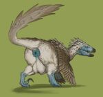  aetherxov anus backsack balls big_anus big_balls big_butt biped black_claws black_markings black_nose black_tongue blue_anus blue_face blue_feet blue_markings blue_neck blue_sclera bottom_heavy brown_body brown_feathers brown_wings butt chubby_feral chubby_male claws digitigrade dinosaur dromaeosaurid facial_markings feathered_dinosaur feathered_wings feathers feral genitals green_background head_feathers head_markings huge_anus huge_balls looking_away male markings open_mouth paws puffy_anus rear_view reptile scalie sharp_claws sharp_teeth simple_background slightly_chubby snout snout_markings solo tail_feathers tan_body tan_feathers tan_markings teeth theropod thick_thighs tongue utahraptor white_eyes wing_markings wings 