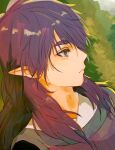  1boy fengxi_(the_legend_of_luoxiaohei) long_hair plant pointy_ears portrait profile purple_eyes purple_hair shadow solatky solo the_legend_of_luo_xiaohei 