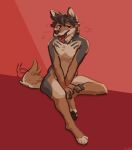  anthro bedroom_eyes biped canid canine canis furvidd hi_res hiding_erection male mammal narrowed_eyes nude seductive sitting solo tail_motion tailwag tongue tongue_out wolf 