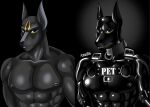  2022 abs anthro bdsm biped black_background black_collar black_nose canid canine canis collar cosia gimp_mask harness hi_res jackal male mammal mask simple_background submissive submissive_anthro submissive_male zipper 