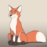  ambiguous_gender canid canine dipstick_tail feral fox fur gloves_(marking) jishinu leg_markings mammal markings multicolored_body multicolored_fur paws red_fox simple_background sitting socks_(marking) solo tail_markings whiskers 