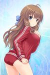  1girl absurdres ahoge alternative_girls arimura_shion ass blue_background blue_eyes brown_hair buruma closed_mouth eyebrows_visible_through_hair hand_on_own_chest highres long_hair long_sleeves looking_at_viewer official_art red_buruma red_sweater solo sweater 