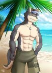  abs absurd_res anthro beach canid canine canis cheezychess hi_res male mammal seaside shirtless solo summer wolf 