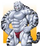  2012 anthro barazoku big_muscles black_body black_fur blue_eyes bulge clothed clothing echin felid fur hi_res huge_muscles looking_at_viewer male mammal muscular muscular_anthro muscular_male pantherine pink_nose pose simple_background snarling solo standing striped_body striped_fur stripes thong tiger topless underwear underwear_only whiskers white_body white_fur yinhuo_(character) 