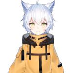  1boy animal_ears green_eyes hasu_(project-sp) hood hood_down hoodie jacket official_art pale_skin project-sp satsuki_misuzu virtual_youtuber white_hair wolf_boy wolf_ears 