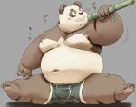  2022 anthro bamboo belly black_nose bulge clothing eating eyes_closed giant_panda kemono male mammal meg_hoi moobs navel nipples overweight overweight_male simple_background sitting solo underwear ursid 