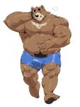  2022 absurd_res anthro belly black_nose blush brown_body bulge clothing hi_res humanoid_hands jumperbear kemono male mammal moobs musclegut nipples overweight overweight_male simple_background solo underwear ursid white_background 
