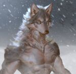  2022 anthro avian bird black_nose canid canine canis eye_scar facial_scar feral fur grey_body grey_fur heterochromia hi_res male mammal multicolored_body muscular muscular_anthro muscular_male nipples open_mouth scar snow snowing solo teeth two_tone_body waist_up whiskers white_body white_fur wolf yi_feng 