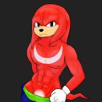  abs anthro clothing echidna fur gloves handwear hi_res humanoid knuckles_the_echidna long_tail male mammal monotreme muscular muscular_male navel nipples plxmbum red_body red_fur sega shirtless solo sonic_the_hedgehog_(series) underwear 