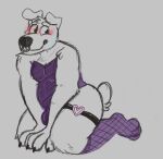  anthro bodily_fluids bulge canid canine canis clothed clothing crossdressing dobermann domestic_dog flustered garter_straps girly hi_res legwear lingerie looking_at_viewer male mammal mastiff molosser pinscher rottweiler solo sstinkies stockings sweat thigh_highs topwear 
