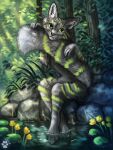  2022 5_fingers ambiguous_gender anthro day detailed_background digital_media_(artwork) feral fingers flashlioness forest fur grass green_eyes grey_body grey_fur outside partially_submerged plant smile solo tree 