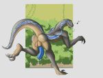  4:3 anthro anthrofied backsack balls blue_(jurassic_world) blue_markings blue_penis bodily_fluids butt claws crossgender daikuhiroshiama dinosaur dromaeosaurid ftm_crossgender genital_fluids genitals hi_res jurassic_park jurassic_world male markings nude penis precum reptile scalie solo theropod universal_studios velociraptor 