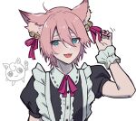  1boy age_break animal_ears apron blue_eyes blush bow cat_boy cat_ears crossdressing embarrassed hair_bow kitsune-san looking_to_the_side maid maid_apron pale_skin pink_hair ribbon virtual_youtuber yoruhachi 