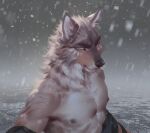  2022 anthro arm_scar athletic athletic_male black_nose blue_eyes brown_body brown_fur canid canine canis clothing fur hi_res looking_at_viewer male mammal multicolored_body nipples scar shirtless snow snowing solo tan_body tan_fur undressing waist_up whiskers white_body white_fur wolf yi_feng 
