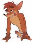  activision anthro bandicoot bite black_nose bodily_fluids boxers_(clothing) clothed clothing crash_bandicoot crash_bandicoot_(series) cum eeknocs erection fingerless_gloves fur genital_fluids genitals gloves green_eyes hair handwear heart_boxers heart_underwear hi_res leaking_cum leaning leaning_forward leaning_on_object looking_pleasured male mammal marsupial orange_body orange_fur penis penis_through_fly poking_out red_hair simple_background solo tongue tongue_bite tongue_out underwear underwear_only vein veiny_penis video_games white_background 