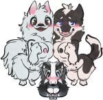  alaskan_klee_kai alpha_channel anthro blush breast_squish breasts canid canine canis domestic_dog female female/female group heterochromia hi_res husky mammal nordic_sled_dog perspective samoyed shy siberian_husky size_difference sparklepupfaeri spitz squish 