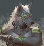  2021 anthro black_nose bodypaint canid canine canis claws collar collar_only fur green_eyes grey_body grey_fur hair headshot_portrait hi_res male mammal multicolored_body muscular nude pawpads pink_pawpads portrait solo white_body white_fur white_hair wolf yi_feng 