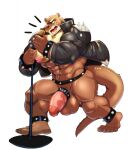  anthro balls big_balls big_penis bottomless clothed clothing cursedmarked friday_(friday_otter) genitals hi_res jacket leather leather_clothing leather_jacket leather_topwear lutrine male mammal microphone muscular mustelid nipple_piercing nipples penis piercing simple_background solo topwear white_background 