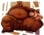  2022 absurd_res anthro balls belly blush brown_body brown_fur censored duo fur genitals hi_res human human_on_anthro humanoid_genitalia humanoid_hands humanoid_penis interspecies kemono kumajjjj male male/male mammal moobs obese obese_male overweight overweight_male penis sitting suid suina sus_(pig) wild_boar 