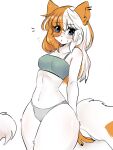  anthro blue_eyes blush breasts clothed clothing crop_top digital_media_(artwork) domestic_cat ear_piercing eyewear felid feline felis female fumonpaw fur glasses hair hi_res kemono looking_at_viewer mammal multicolored_hair navel orange_hair panties piercing portrait round_glasses shaded shirt simple_background solo standing three-quarter_portrait topwear two_tone_hair underwear white_background white_body white_fur white_hair 