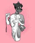  abs anthro balls bedroom_eyes big_penis black_and_white cadaverrdog canid canine canis collar collar_only domestic_dog facial_scar genitals heterochromia hi_res huge_penis inviting leash male mammal monochrome muscular muscular_anthro muscular_male narrowed_eyes nude pecs penis pink_background scar seductive shy simple_background smile solo submissive submissive_male 