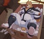  2021 anthro black_nose bottomwear bound box brown_body clothing container detailed_background feet foot_fetish footwear hi_res inside kemono lying male mammal musclegut overweight overweight_male pants scar shirt sock_in_mouth socks topwear ursid zixiong 