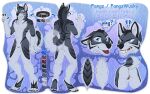  2017 4_toes 5_fingers andromorph anthro blue_eyes butt canid canine canis claws collar curled_tail domestic_dog fangzwusky feet fingers foxysoul fur genitals grey_body grey_fur growling husky hybrid intersex mammal markings model_sheet multicolored_body multicolored_fur nordic_sled_dog pussy sharp_teeth spitz teeth text toe_claws toes tongue tongue_out wolfdog 