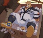  2021 anthro black_nose bottomwear bound box brown_body bulge clothing container detailed_background footwear hi_res inside kemono lying male mammal musclegut overweight overweight_male pants scar shirt sock_in_mouth socks topwear ursid zixiong 