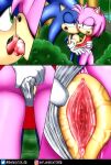  amy_rose big_pussy duo eulipotyphlan female genitals hedgehog hi_res kissing male male/female mammal pussy sega sheecktor sonic_the_hedgehog sonic_the_hedgehog_(series) 