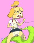  2022 ahegao animal_crossing anthro anthro_penetrated bottomwear canid canine canis clothed clothing digital_drawing_(artwork) digital_media_(artwork) domestic_dog duo female female_penetrated feral feral_penetrating fur green_body green_fur hi_res isabelle_(animal_crossing) looking_pleasured male male/female mammal nintendo nipples open_clothing open_shirt open_topwear penetration pink_background pink_nipples raised_bottomwear raised_clothing raised_skirt sex shih_tzu shirt signature simple_background skirt squirmle standing standing_sex topwear toy_dog untied_necktie vaginal vaginal_penetration video_games yellow_body yellow_fur zigmenthotep 