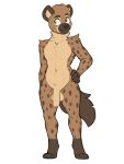  2022 absurd_res anthro balls brown_body brown_fur brown_spots digital_media_(artwork) domasarts fur genitals head_tuft hi_res hyaenid male mammal nude penis simple_background smile solo spots standing tuft white_background 