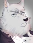  anthro arctic_wolf canid canine canis clothed clothing fully_clothed fur headshot_portrait hi_res illumination_entertainment invalid_tag jimmy_crystal looking_at_viewer luckwoolf male mammal portrait simple_background sing_(movie) solo suit white_body white_fur wolf 