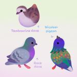 animal animal_focus arrow_(symbol) artist_name beak bird closed_mouth commentary dove english_commentary english_text gradient gradient_background looking_up no_humans original pigeon pikaole pink_background simple_background solid_circle_eyes standing watermark yellow_background 