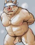  2022 anthro balls belly blush bodily_fluids cum erection genital_fluids genitals hi_res kemono male mammal moobs nipples one_eye_closed overweight overweight_male penis shiike999 solo suid suina sus_(pig) wild_boar 